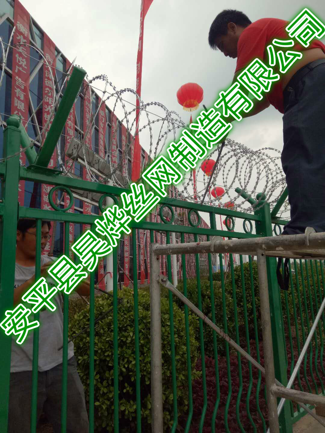 874217685217586980_meitu_1.jpg